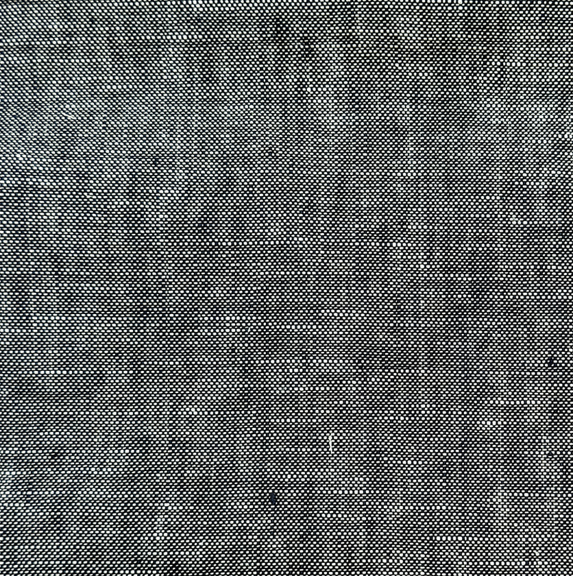 Lona | Blueberry