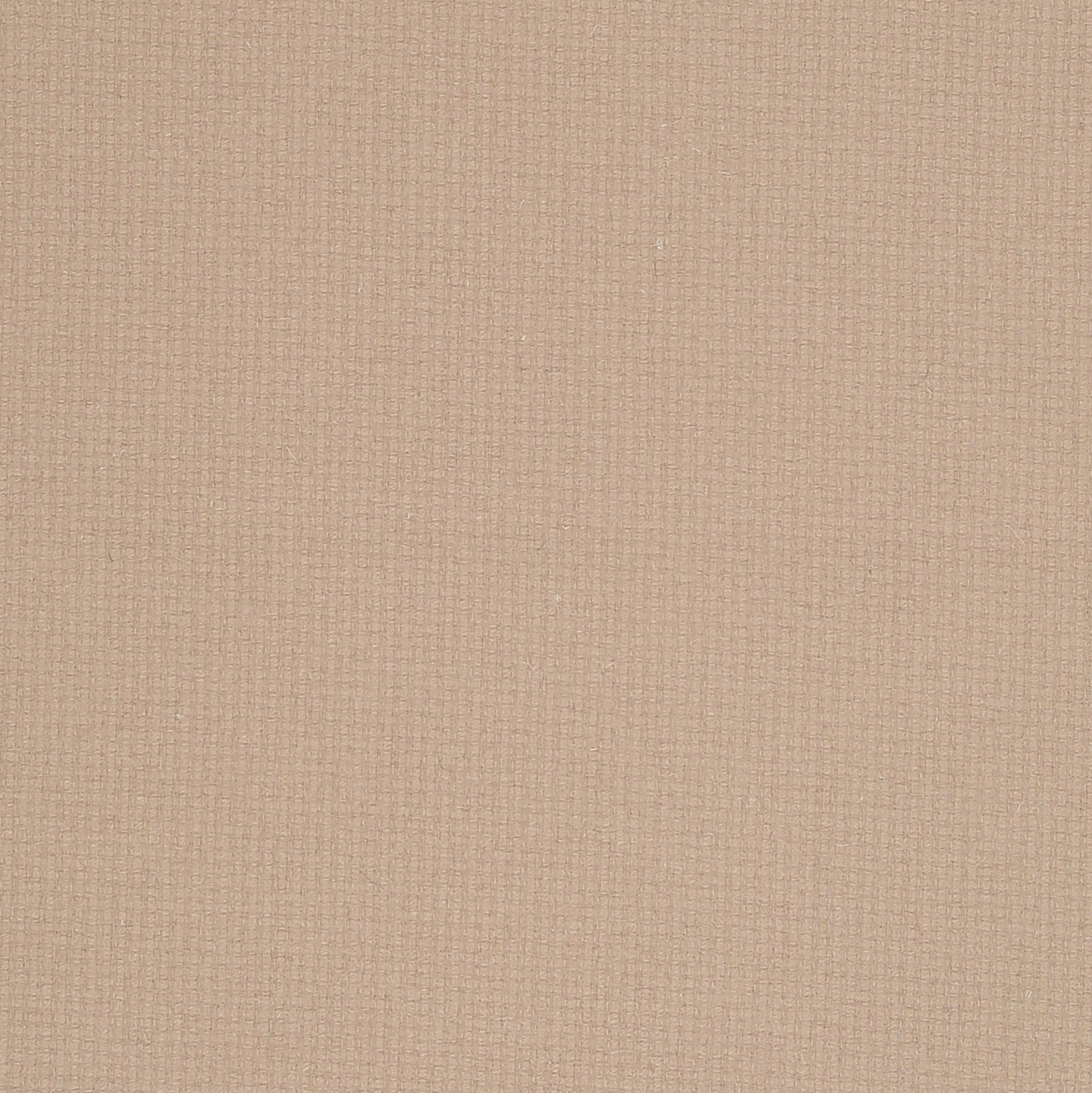 Satori | 16305